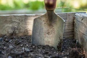 Im Frühjahr startet die Gartensaison mit der richtigen Bodenbearbeitung