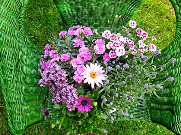 Blumen im Rattanstuhl