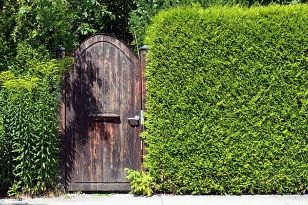 Sichtschutzmaßnahmen für den Garten - immer wieder ein wichtiges Thema