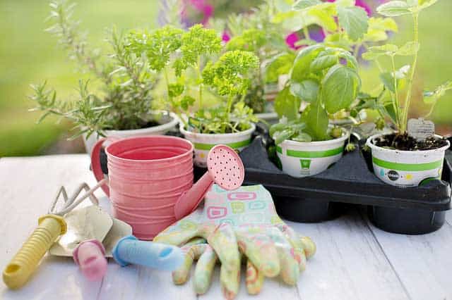 Gartenarbeit mit dem richtigen Gartenzubehör