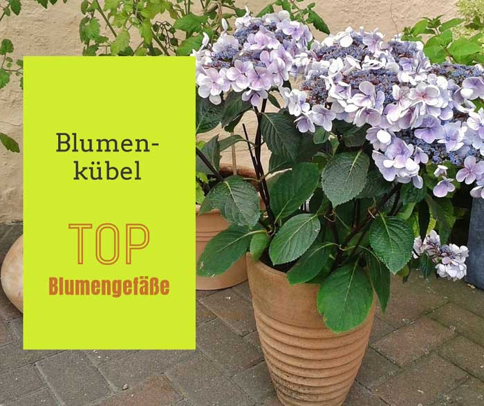 Blumenkübel