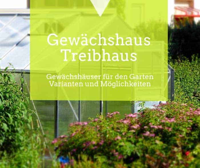 Gewächshaus Treibhaus