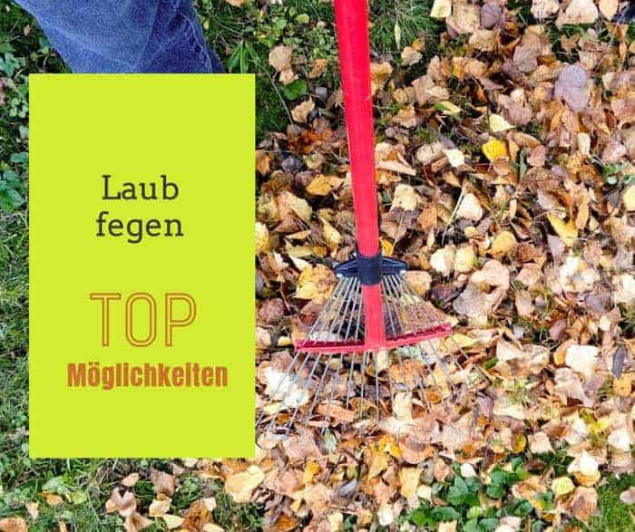 Laub fegen