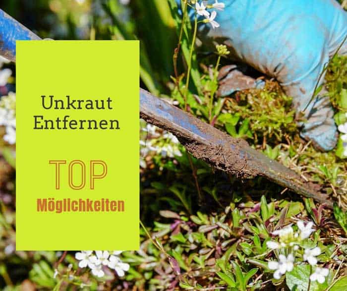 Unkraut entfernen