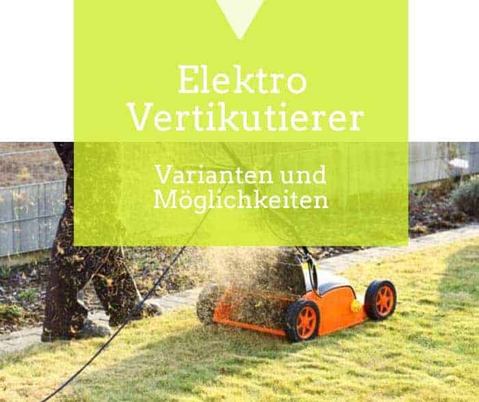 Ein Elektro-Vertikutierer für wichtige Rasenarbeiten de.depositphotos.com