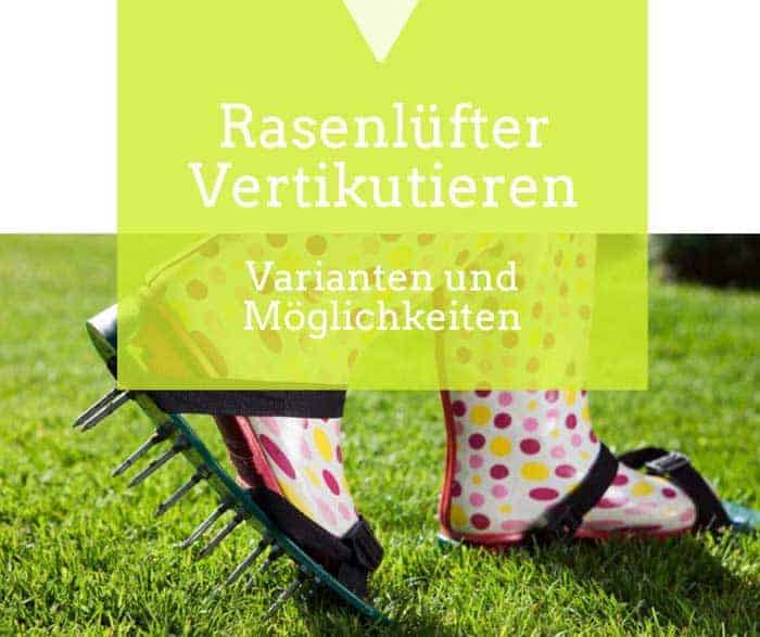 Rasenlüfter zur Vertikutierung de.depositphotos.com