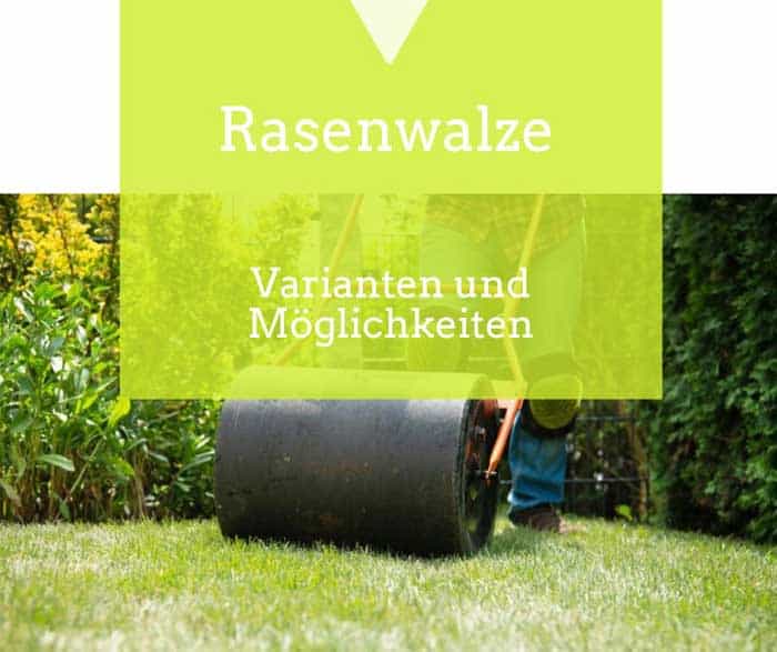 Die Rasenwalze für neuen Rasen de.depositphotos.com