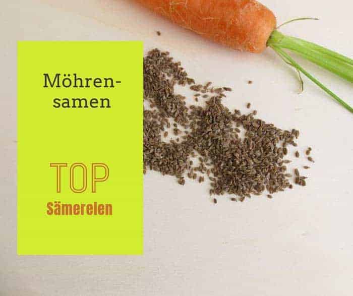 Möhrensamen kaufen de.depositphotos.com