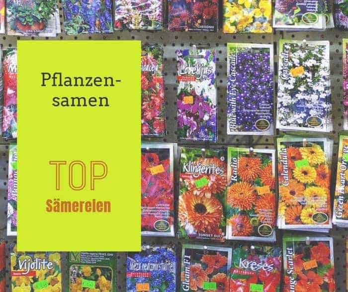 Pflanzensamen kaufen