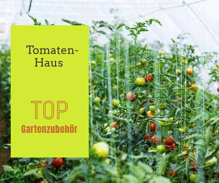 Tomatenhaus depositphotos.com