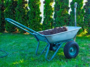 Eine Schubkarre als eine Art der Gartenkarre (depositphotos.com) Eine Schubkarre als eine Art der Gartenkarre (depositphotos.com)