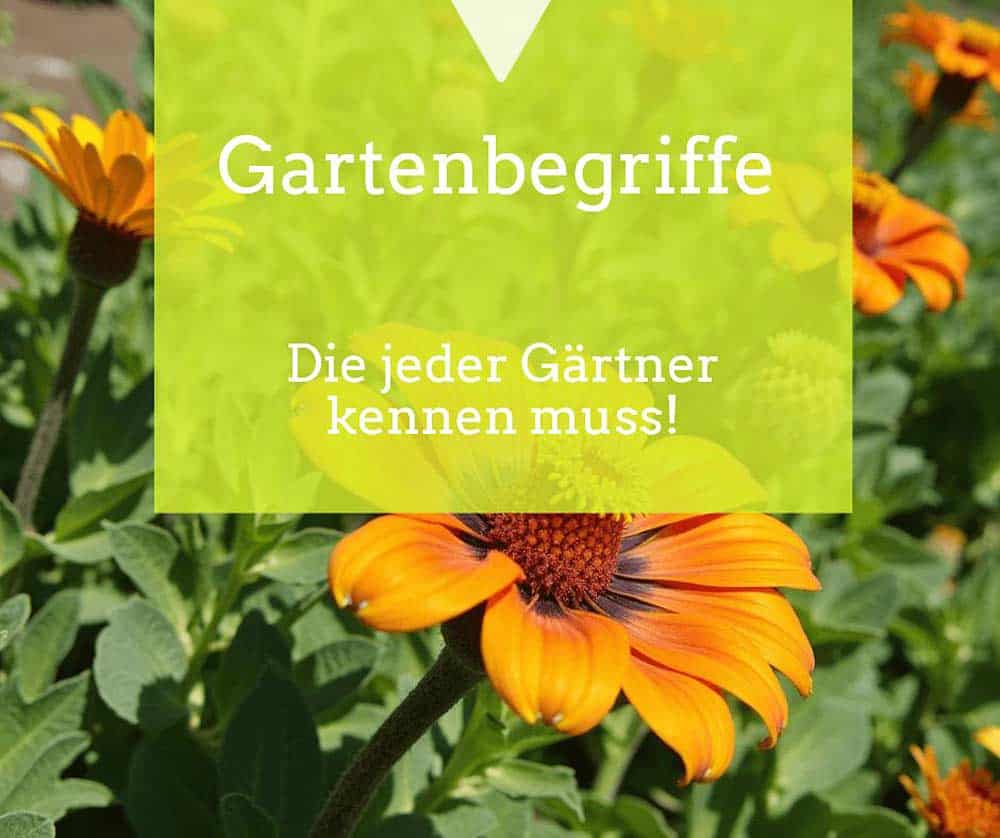 Du betrachtest gerade Gartenbegriffe einfach erklärt