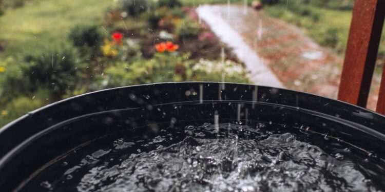 Gartenhaus Regenwasser Nutzung (depositphotos.com)