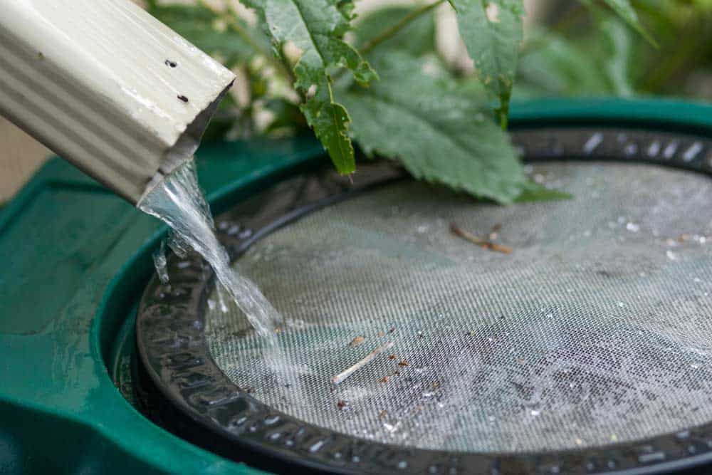 Gartenhaus Regenwasser Nutzung mit einer Regentonne mit Sieb Gartenhaus Regenwasser Nutzung mit einer Regentonne mit Sieb (depositphotos.com)