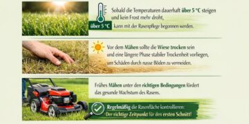 Ab wann im Frühjahr Rasen mähen